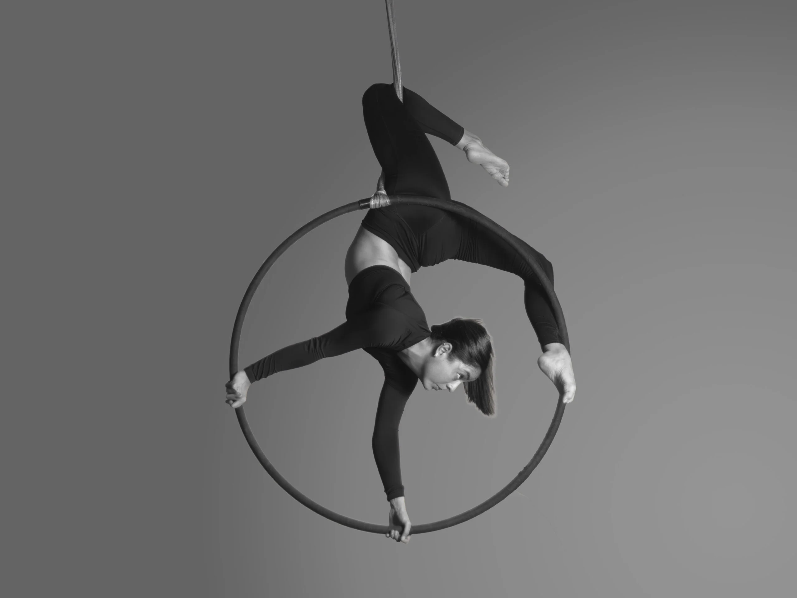 Nani Ardine Aerial Silks