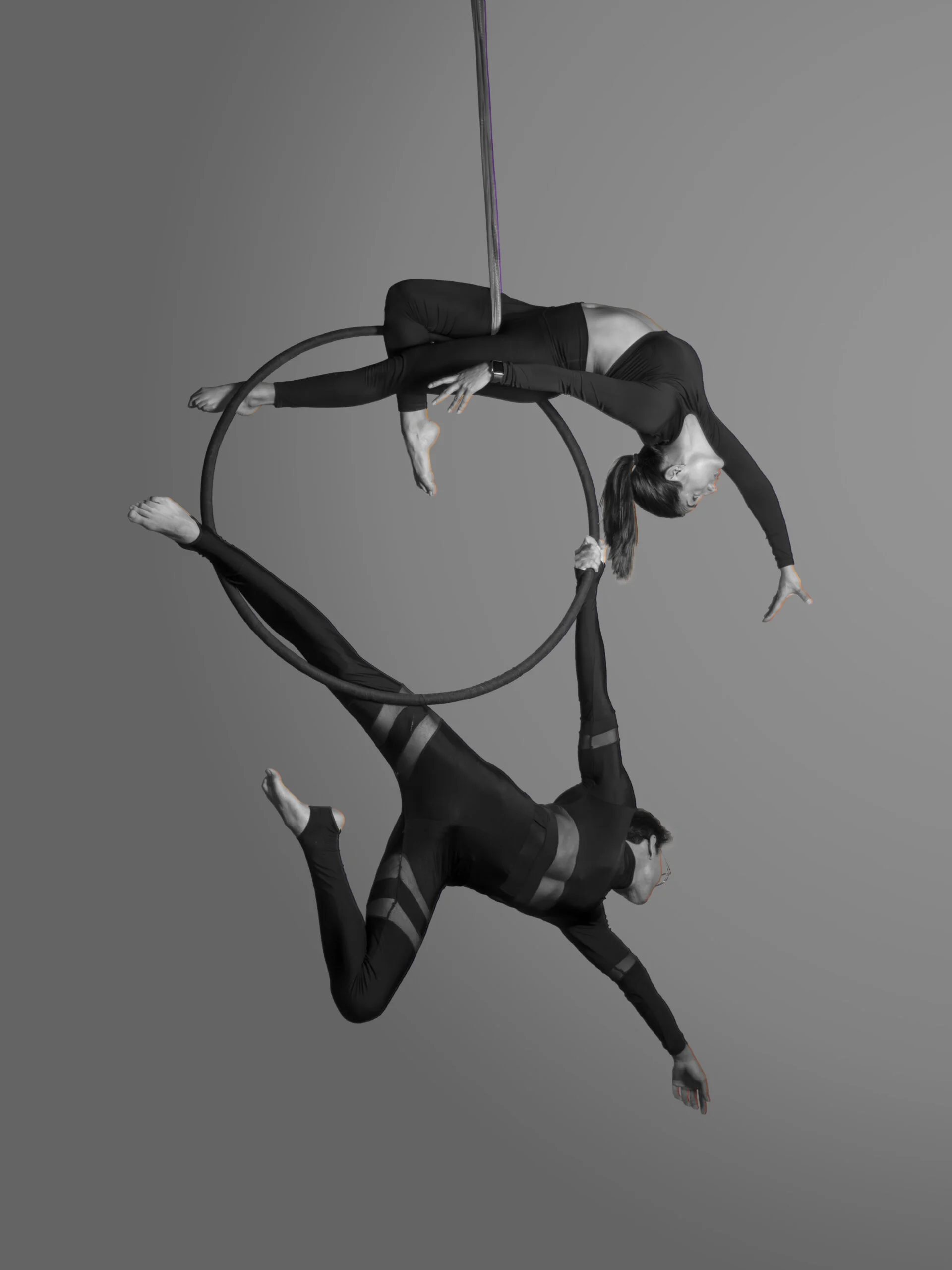 Nani Ardine Aerial Lyra hoop