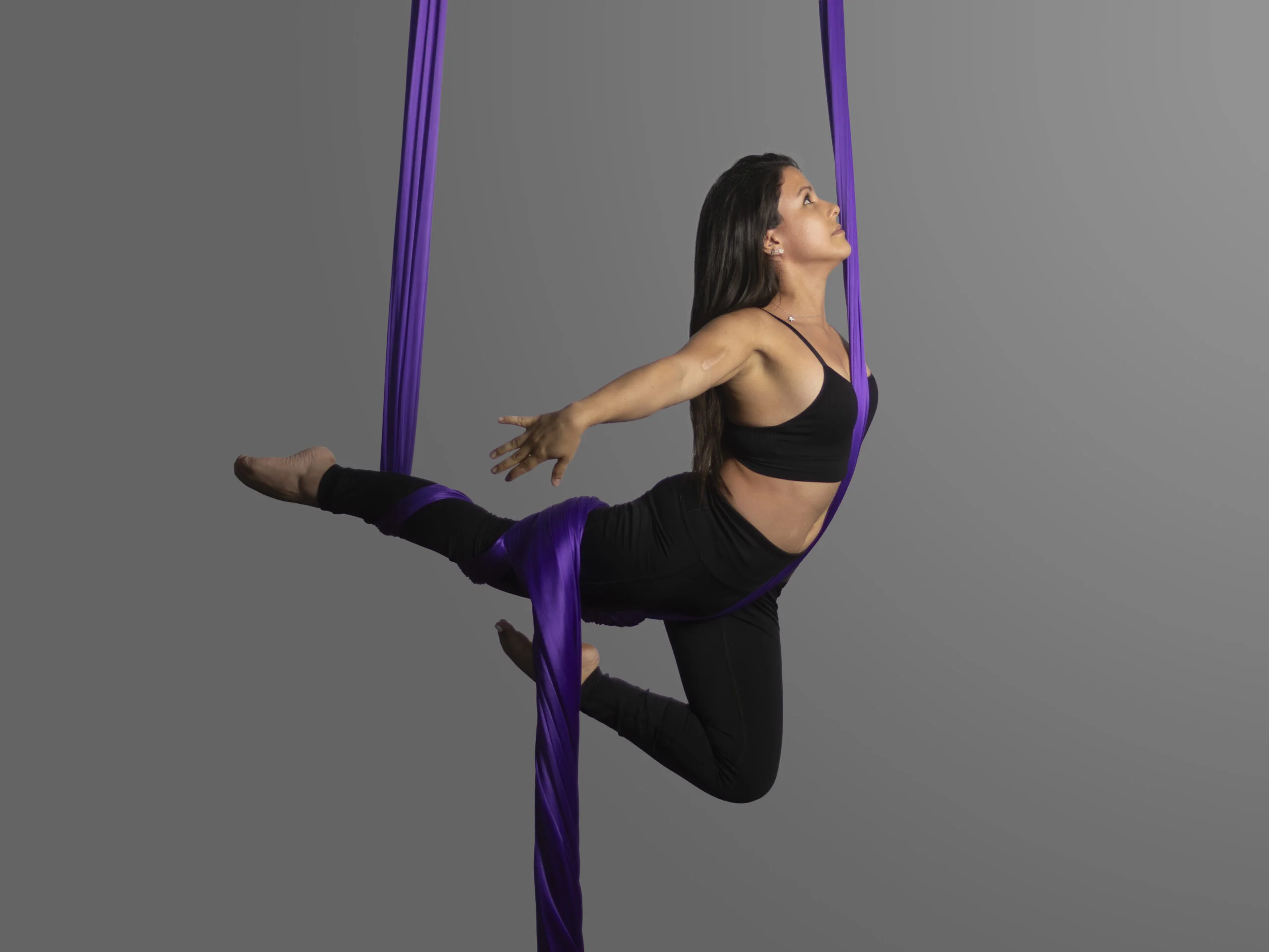Nani Ardine Aerial Silks