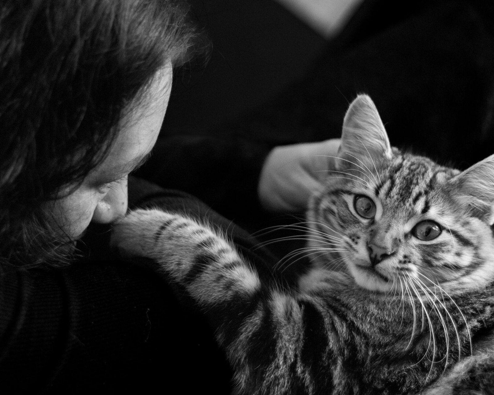 Nani Ardine PAWrtraits